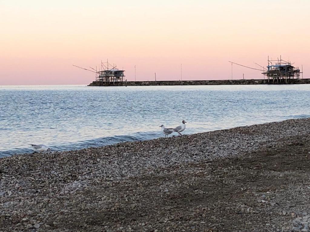 Acquamarina Casa Vacanze Marina di San Vito Bagian luar foto